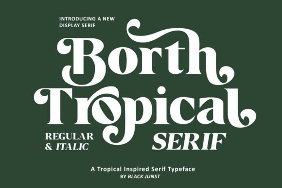 Borth Tropical Typeface for Branding