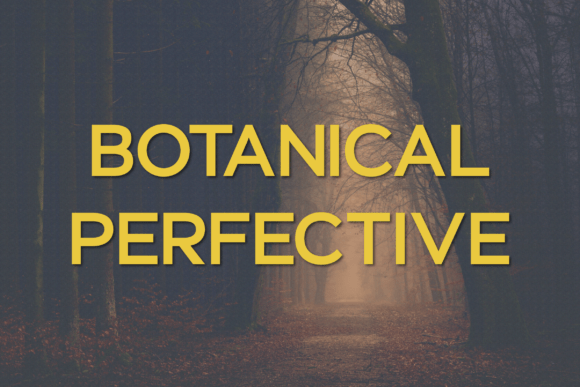 Botanical Perfective: A Modern Typeface for Campaigns