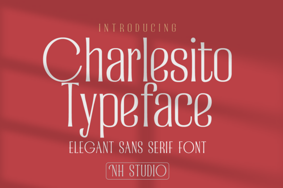Charlesito: The Modern Sans Serif Font for Marketers
