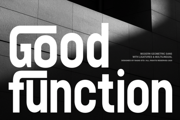 Good Function: A Modern Sans Serif Typeface for Web Design