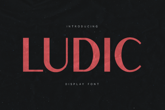 Ludic Typeface Review for Modern Web Design