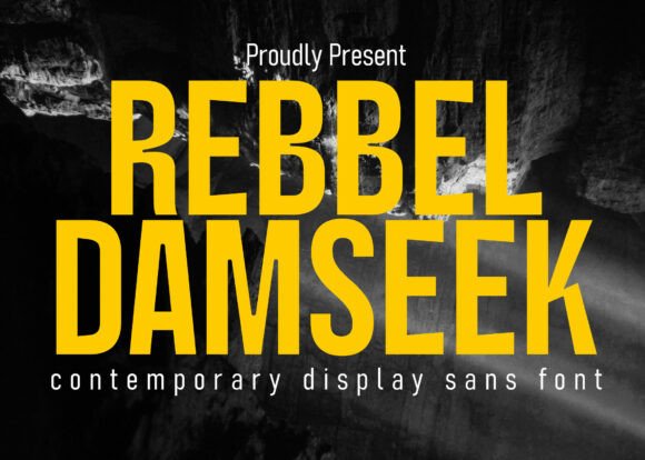 Rebbel Damseek: A Modern Sans Serif Font for Digital Brands