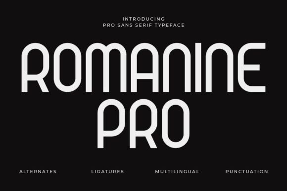 Romanine Pro: A Modern Typeface for Sharp Branding