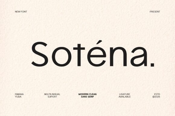 Sotena: A Designer’s Honest Review for Real Projects